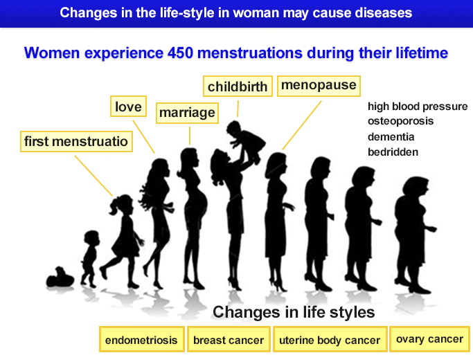 Changes in the life-style in woman may cause diseases
Women experience 450 menstruations during their lifetime